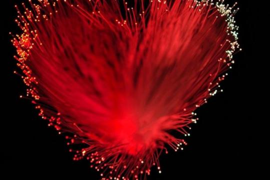 了解你的依恋类型，助你建立更健康、更持久的关系