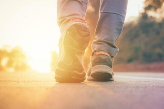 散步的20条黄金法则