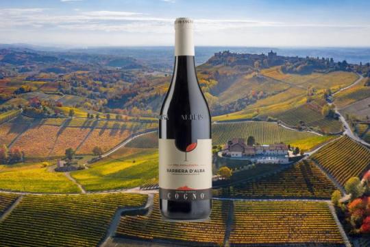 本周推荐葡萄酒：Elvio Cogno 2023年百年老藤前巴贝拉