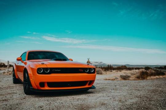 收藏家悄然抢购的11款经典肌肉车