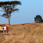 播客第1040期：部落跑者、周末勇士与我们对耐力运动的变化认知