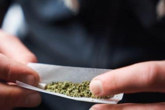 播客 #920：大麻是一种安全吗的药物吗？