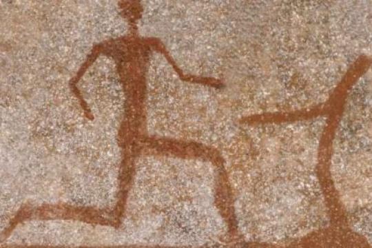 从人类祖先身上真正学到的运动智慧