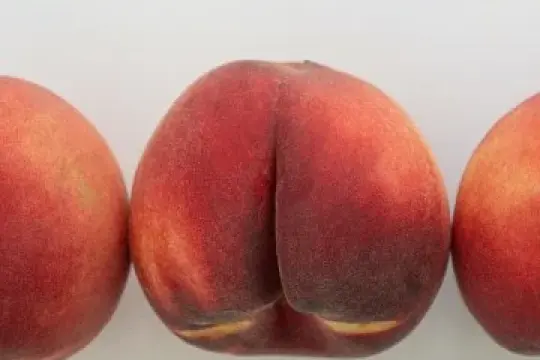 不再是禁忌的卧室玩具，肛塞成为探索肛门玩法的必备品