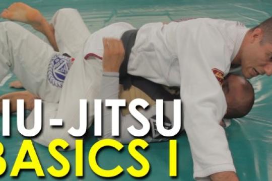 巴西柔术基础动作——第一部分【视频】