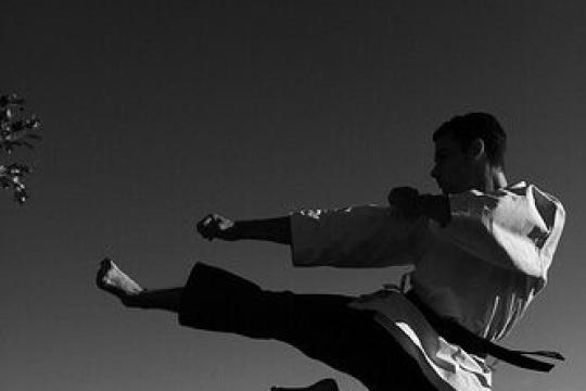 武术如何激发男性的战士精神