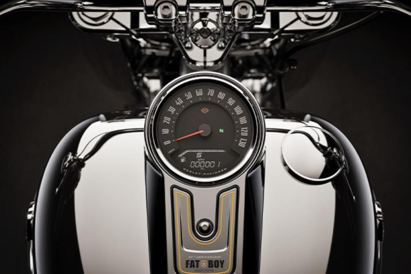 2025 Harley Davidson Fat Boy Gray Ghost 3