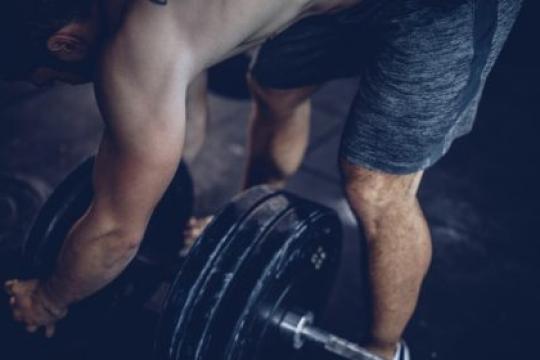 训练中断后如何快速找回流失的肌肉