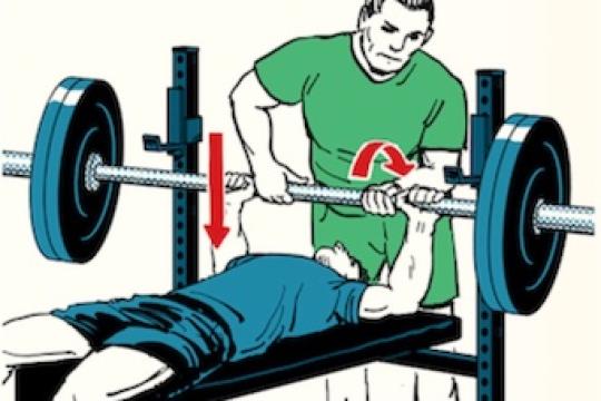 本周技能：如何在卧推时为他人护航