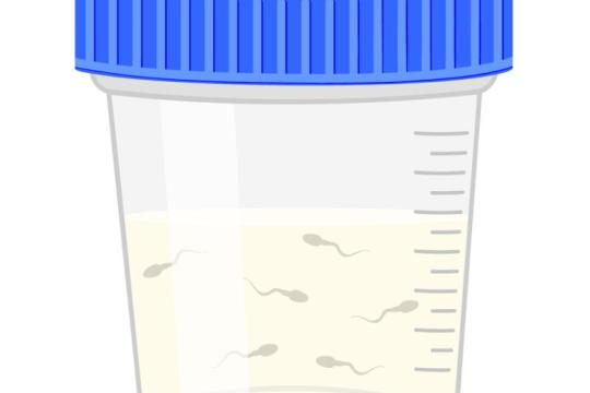 想要更丰富、更震撼的射精量？科学告诉你答案