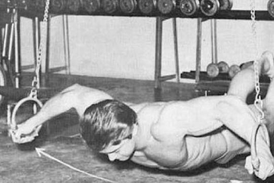 23种体重环和吊带训练动作