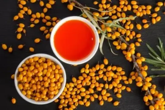 为什么大家都对沙棘油如此着迷？