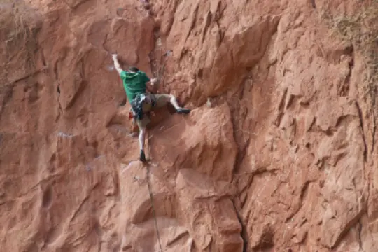 播客599：助你行动的身体智慧