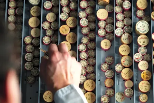 为什么品牌内部历史学家正成为制表业的明星人物