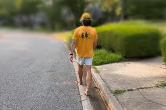 我开始每天早晨散步，健康发生了这些变化